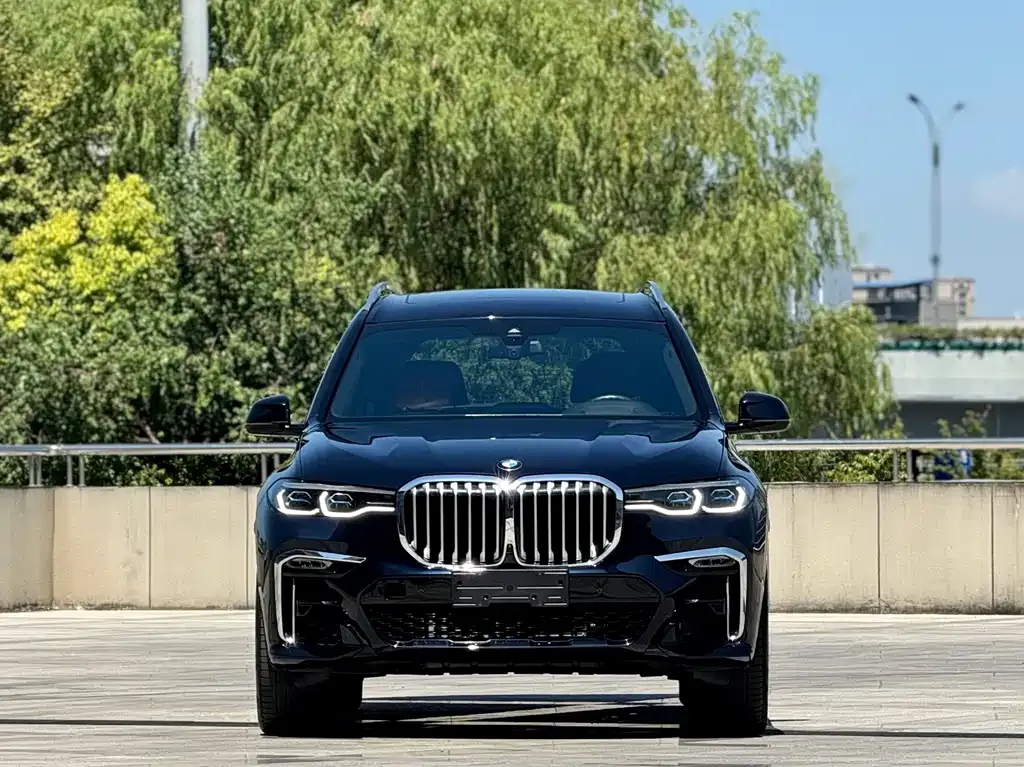 BMW X7 — фото 4