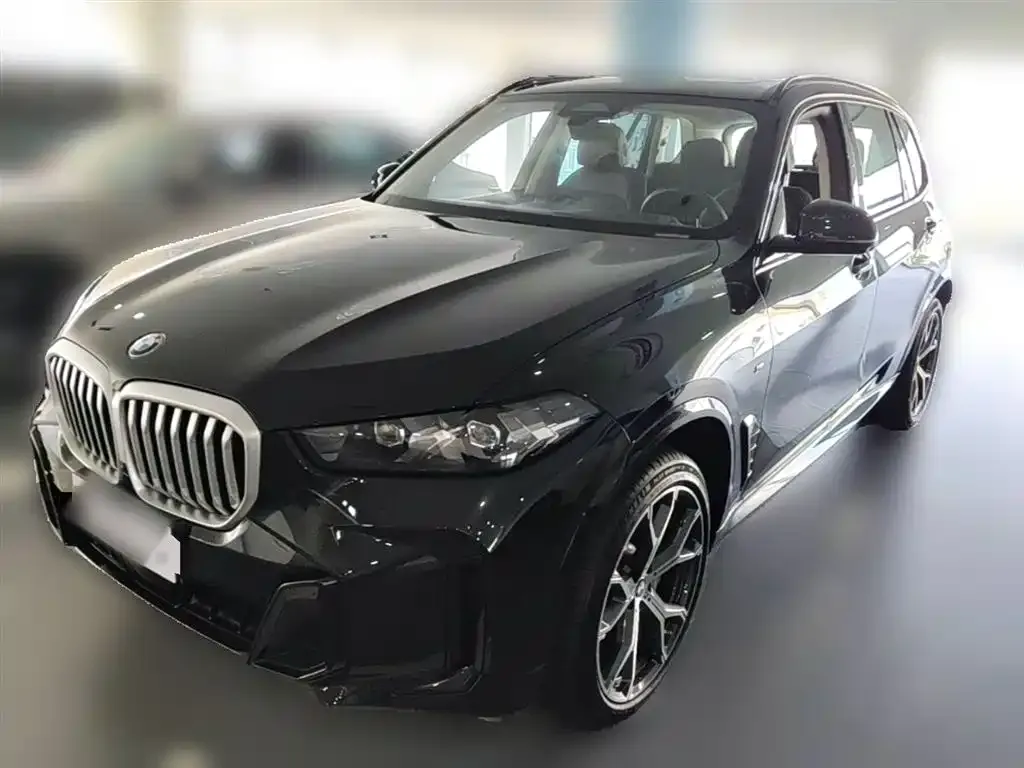 BMW X5 — фото 4