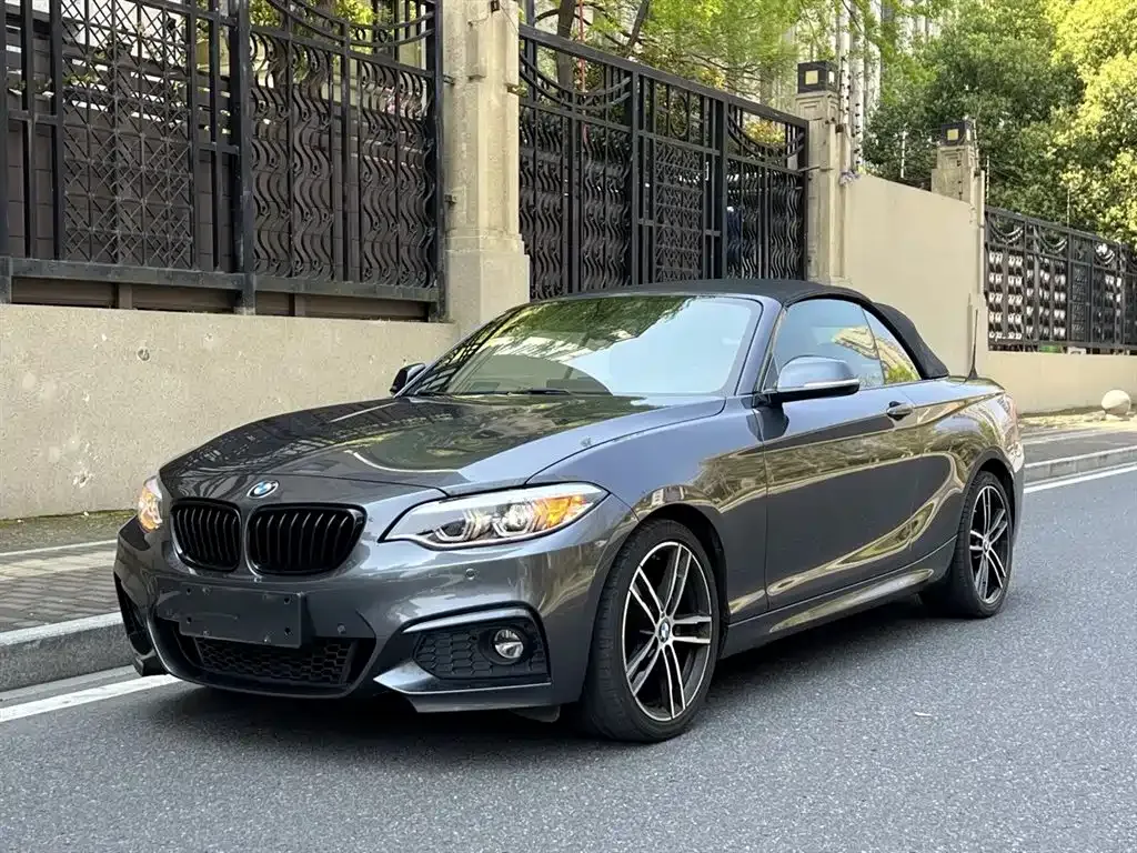 BMW 2 Series (Import) — фото 1