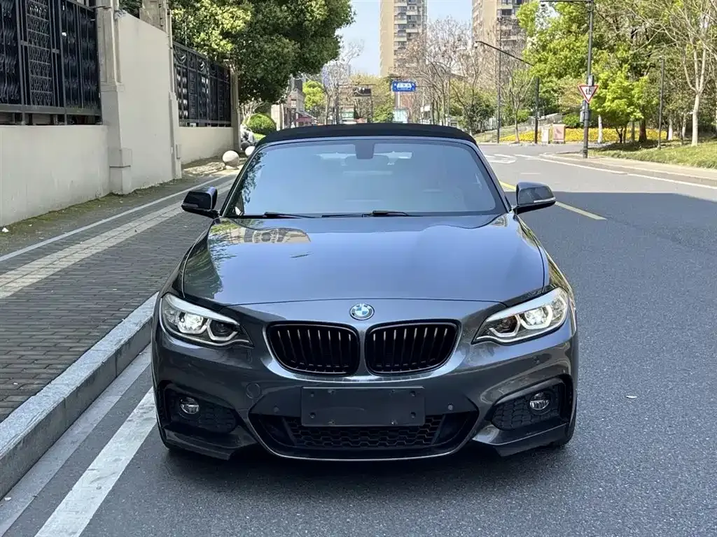 BMW 2 Series (Import) — фото 8