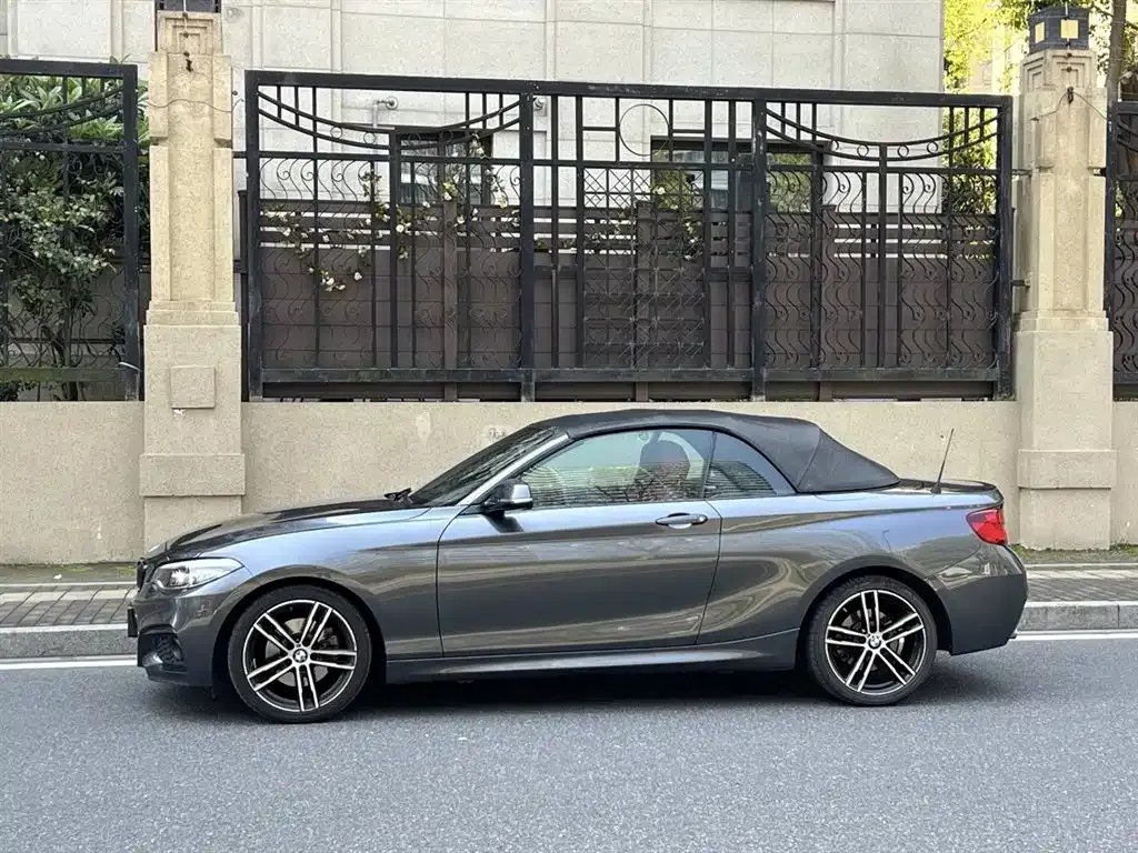 BMW 2 Series (Import) — фото 10