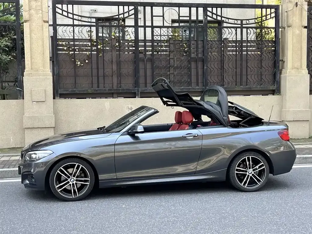 BMW 2 Series (Import) — фото 9