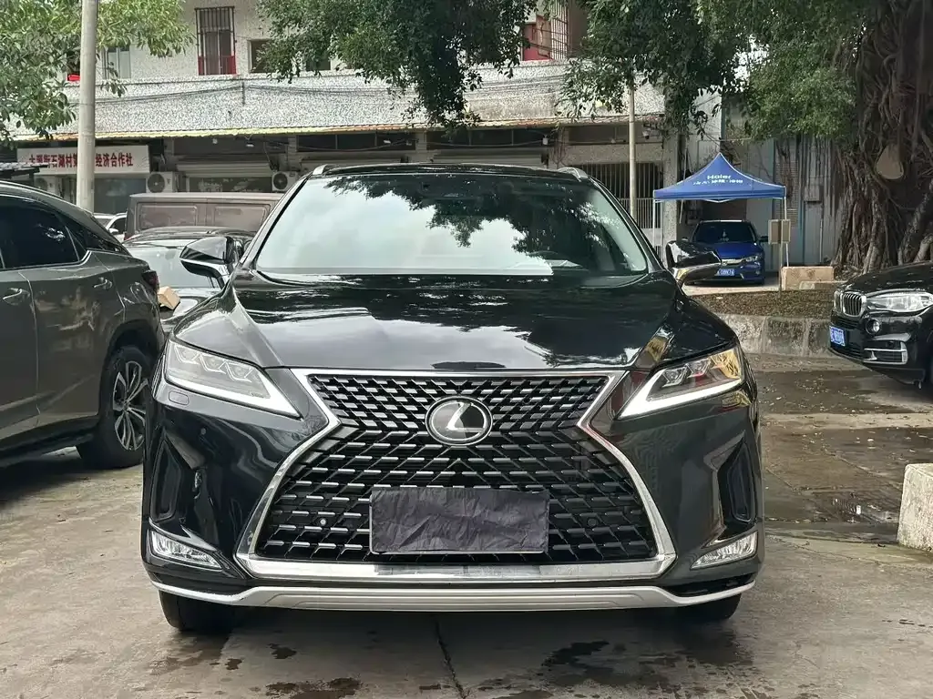 Lexus RX — фото 8