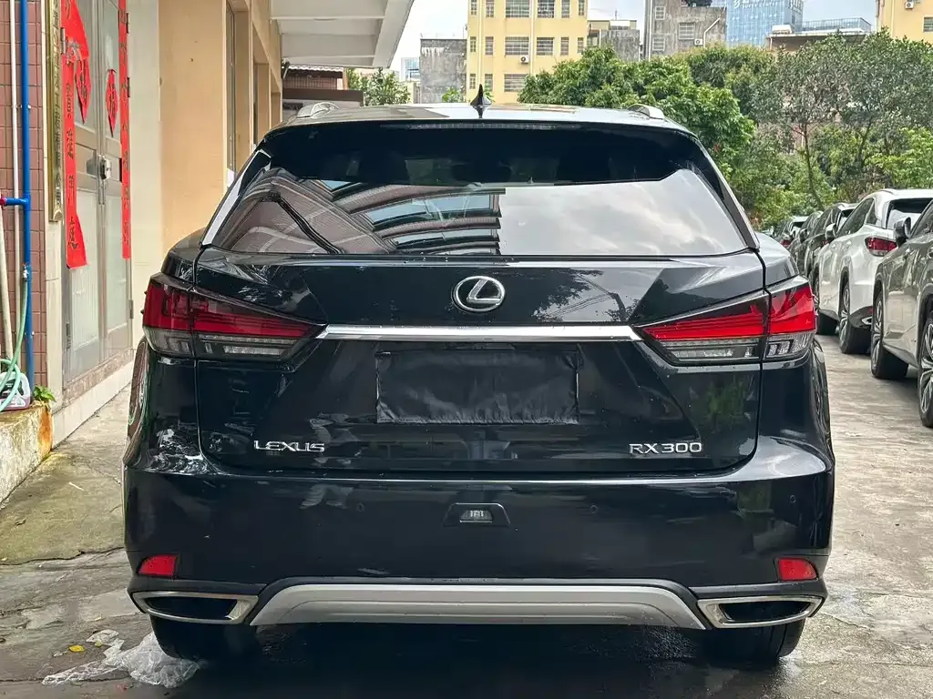 Lexus RX — фото 6