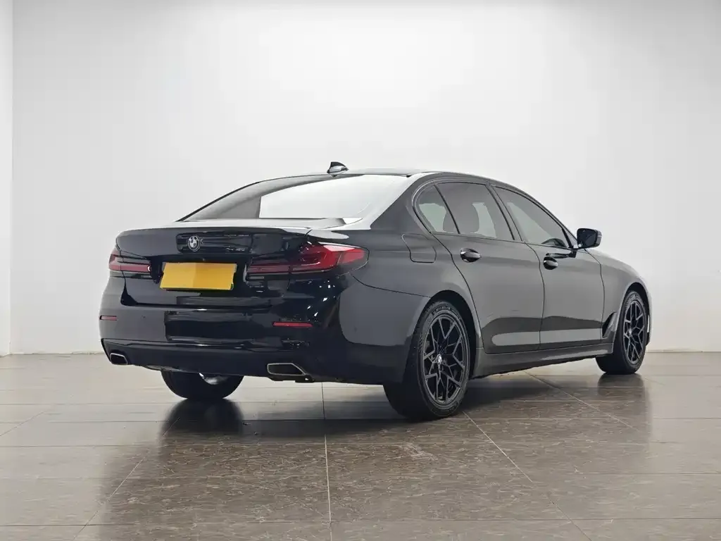 BMW 5 Series New Energy — фото 8