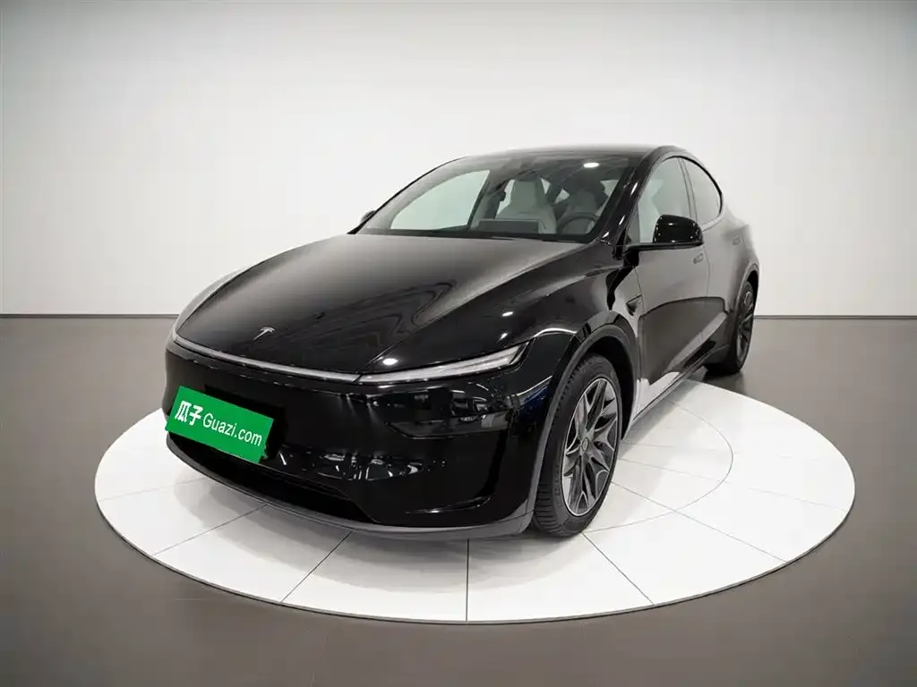 Tesla Model Y L — фото 1