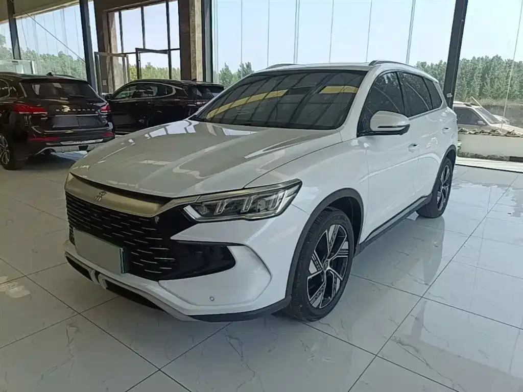 BYD Pro New Energy — фото 1