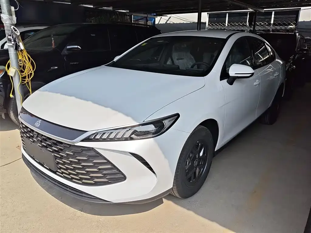 BYD Qin PLUS — фото 1