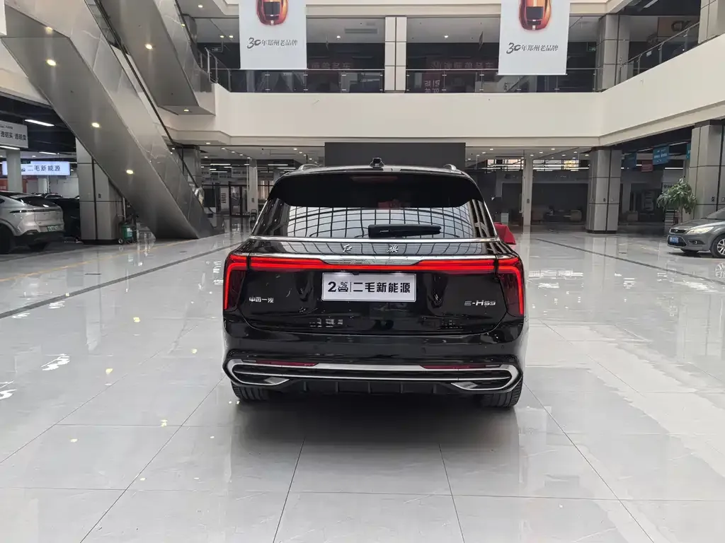 Hongqi E-HS9 — фото 9