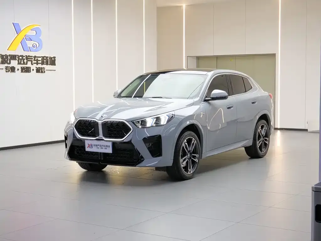 BMW X2 (Import) — фото 1