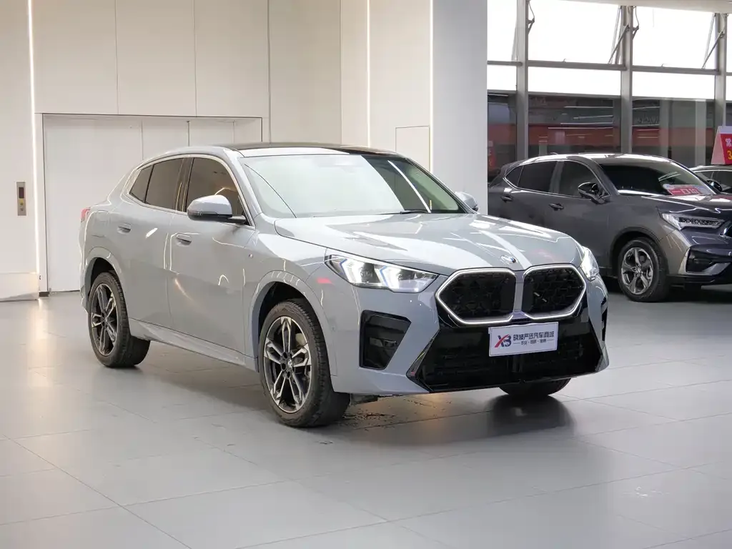 BMW X2 (Import) — фото 8