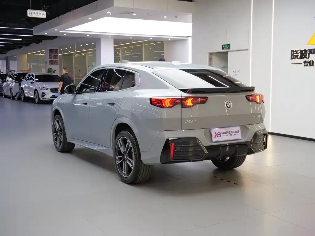 BMW X2 (Import) — фото 10