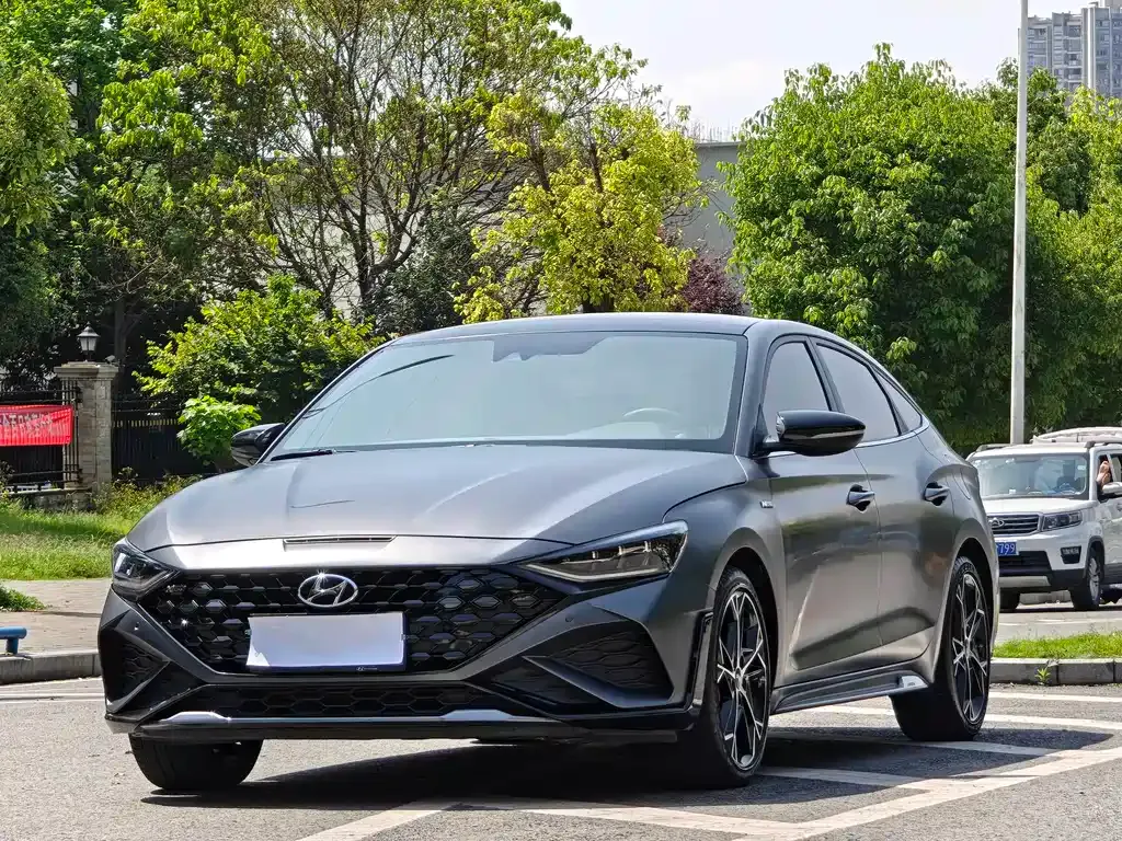 Hyundai Fista — фото 1