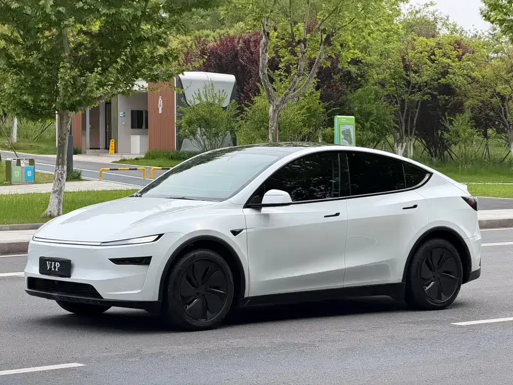 Tesla Model Y L — фото 1