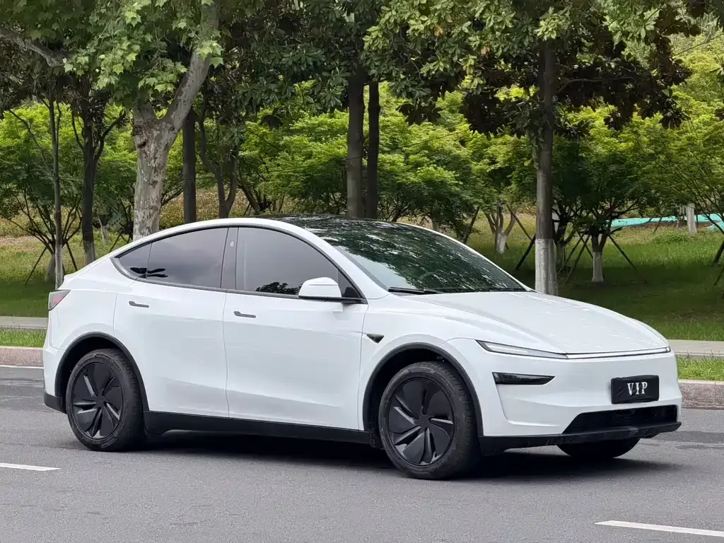 Tesla Model Y L — фото 10