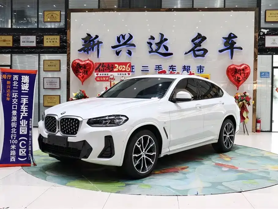 BMW X4 — фото 1