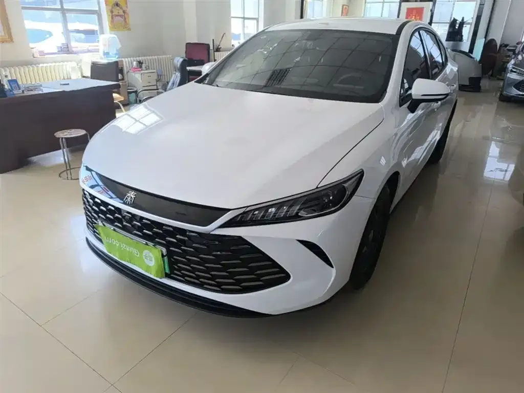 BYD Qin PLUS — фото 1