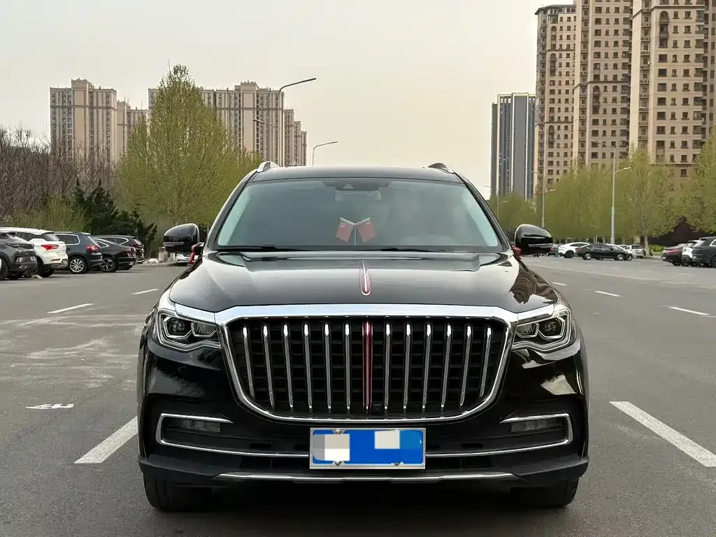 Hongqi HS7 — фото 8