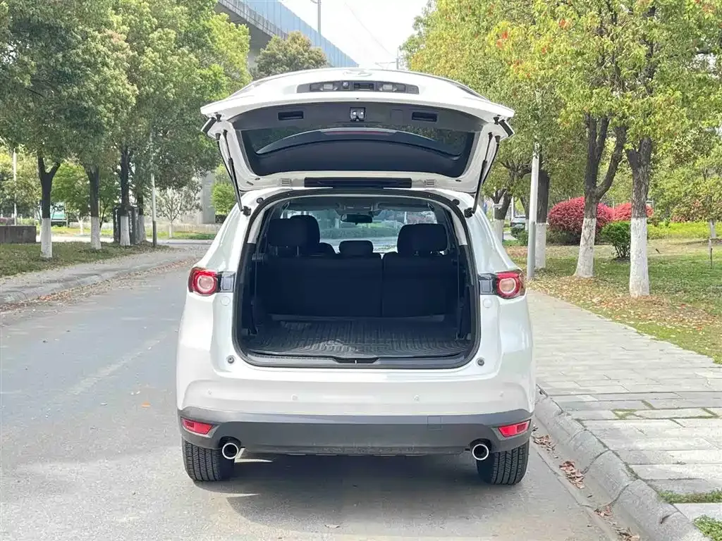 Mazda CX-8 — фото 8