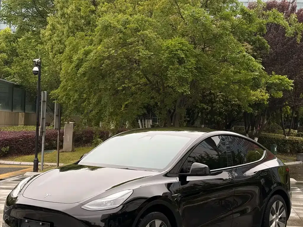 Tesla Model Y — фото 1