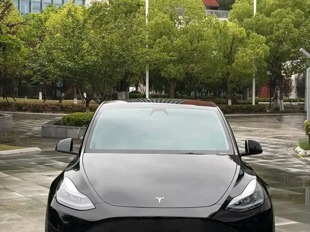 Tesla Model Y — фото 10