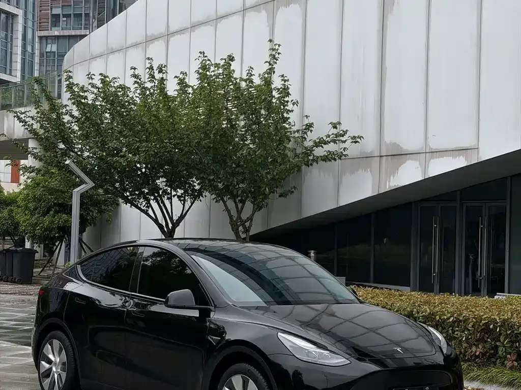 Tesla Model Y — фото 8
