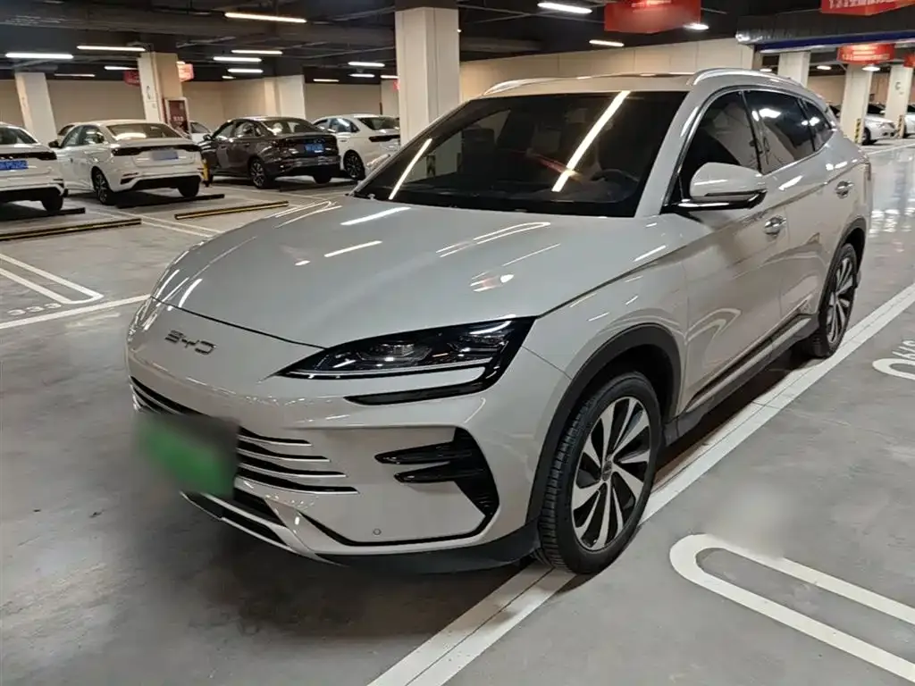 BYD PLUS New Energy — фото 1