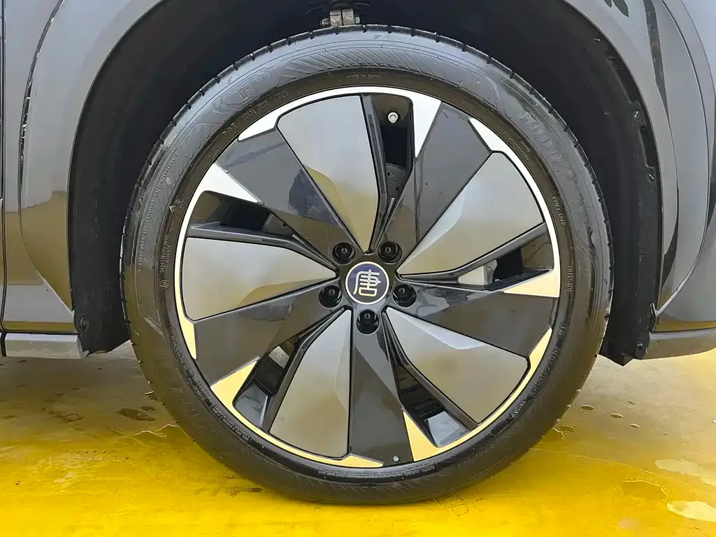 BYD Tang L — фото 2
