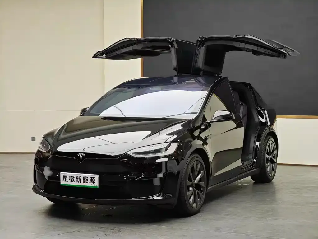 Tesla Model X — фото 1