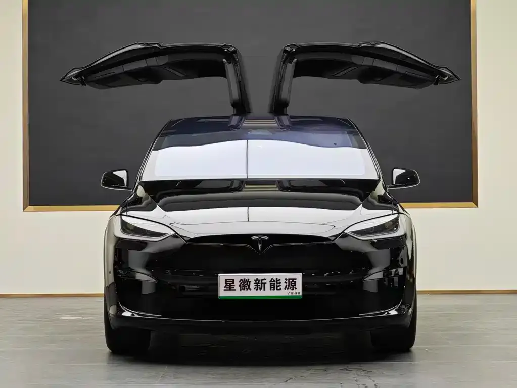 Tesla Model X — фото 10