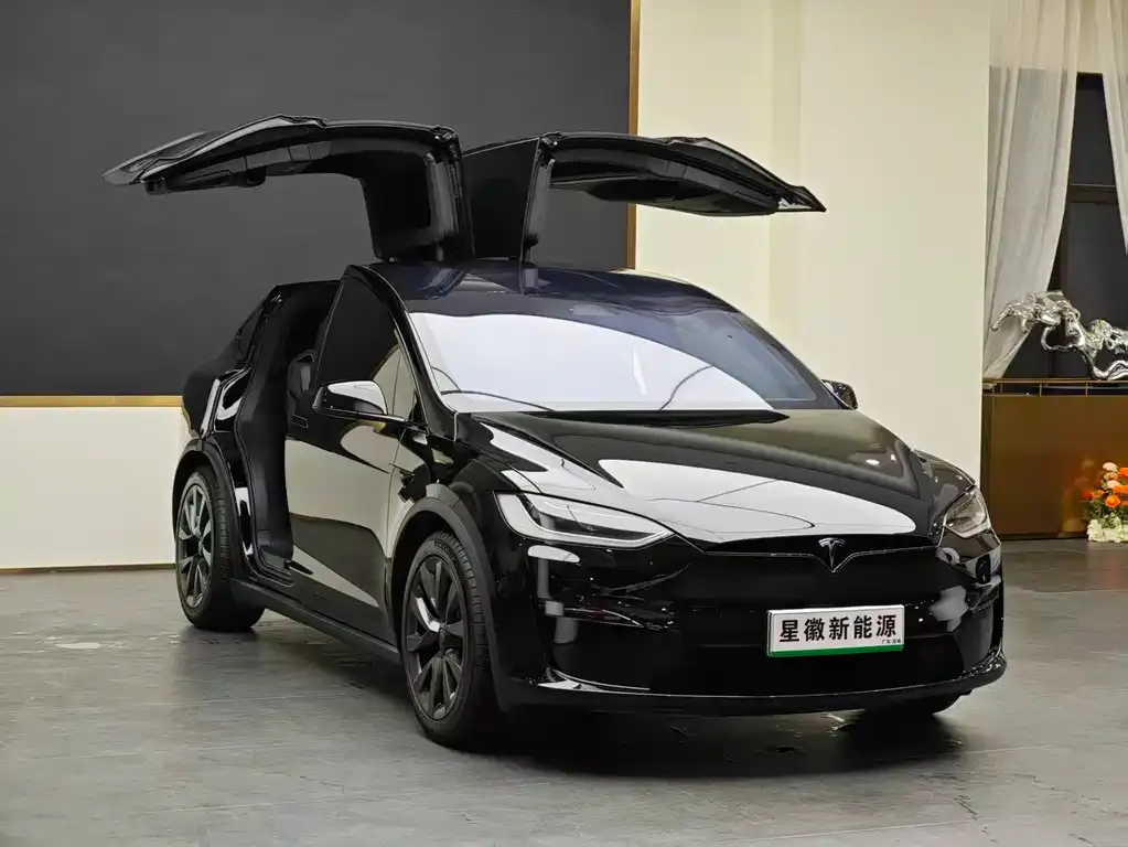 Tesla Model X — фото 9