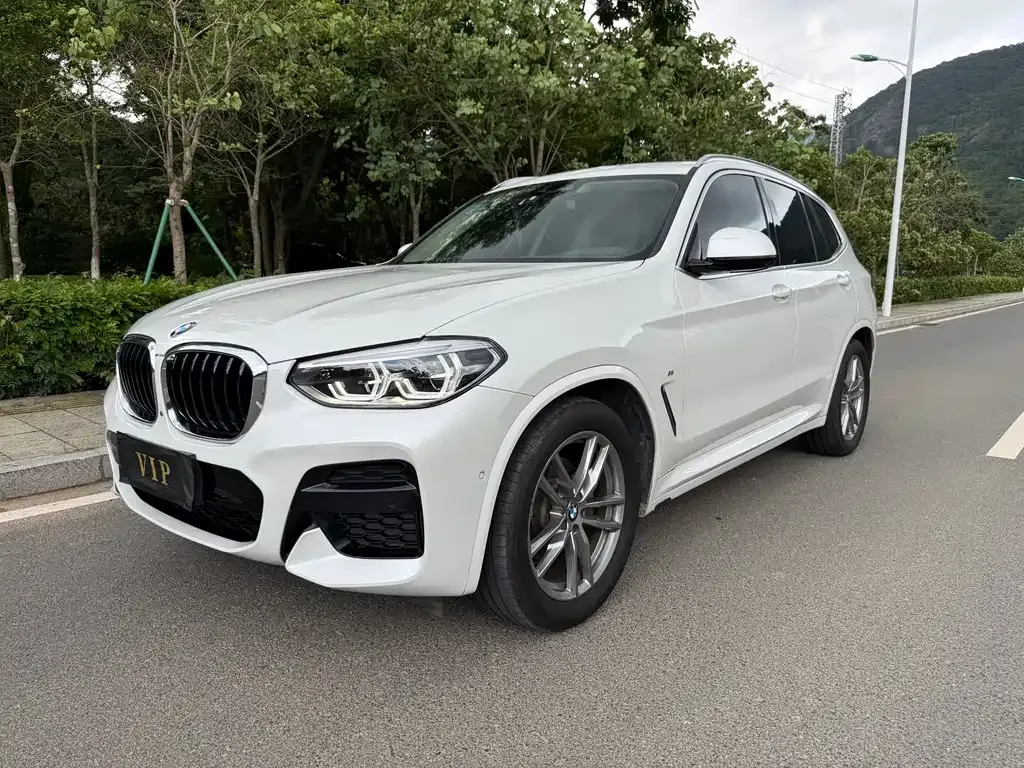 BMW X3 — фото 1