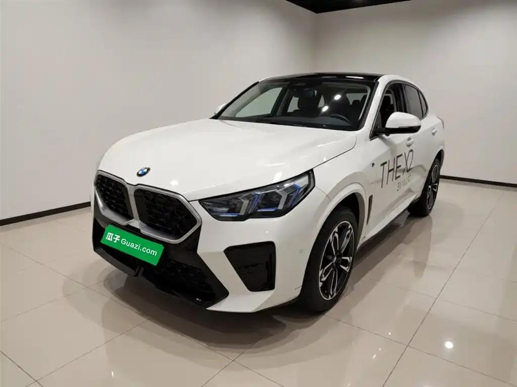 BMW X2 (Import) — фото 1