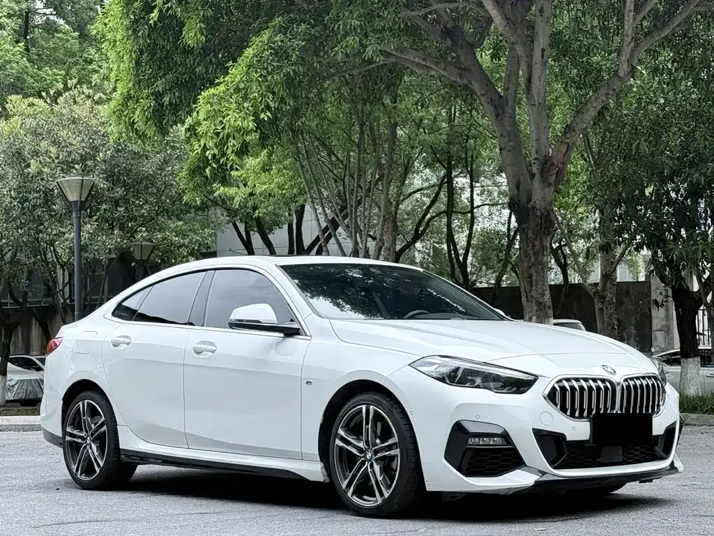 BMW 2 Series (Import) — фото 9