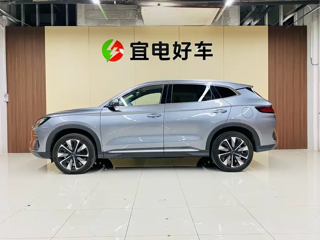BYD PLUS New Energy — фото 7