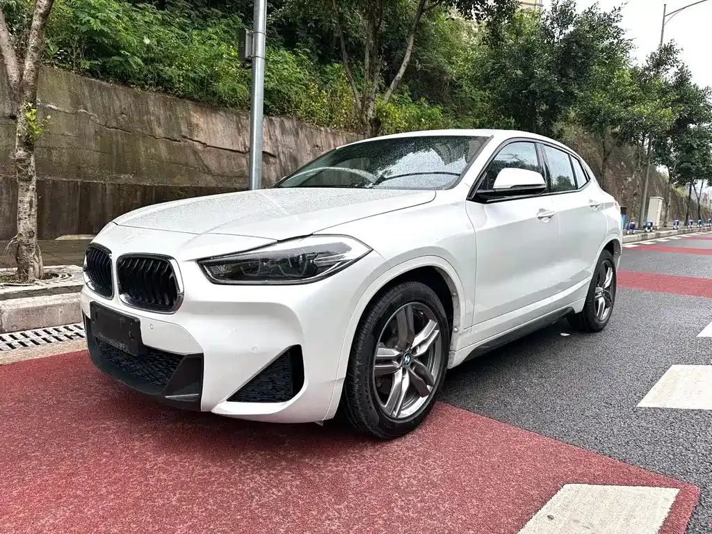 BMW X2 — фото 1