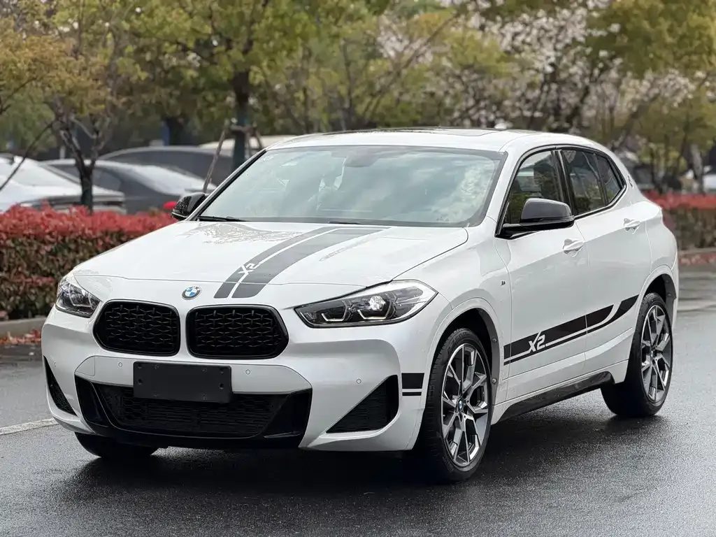 BMW X2 — фото 1