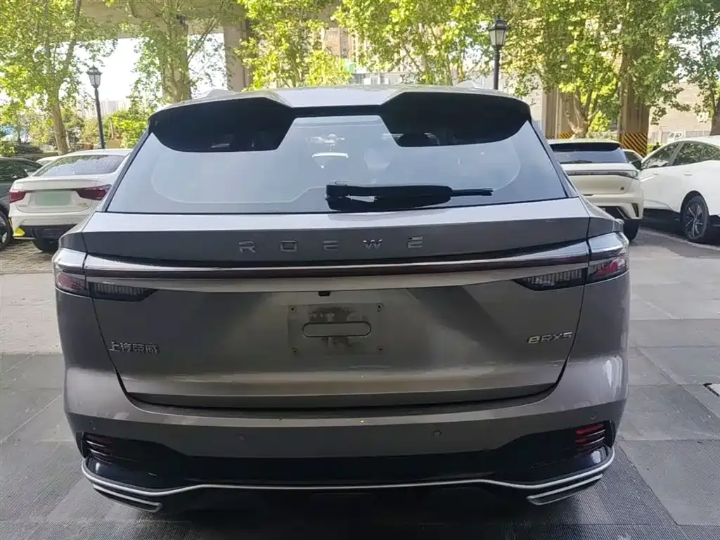 Roewe RX5 New Energy — фото 8