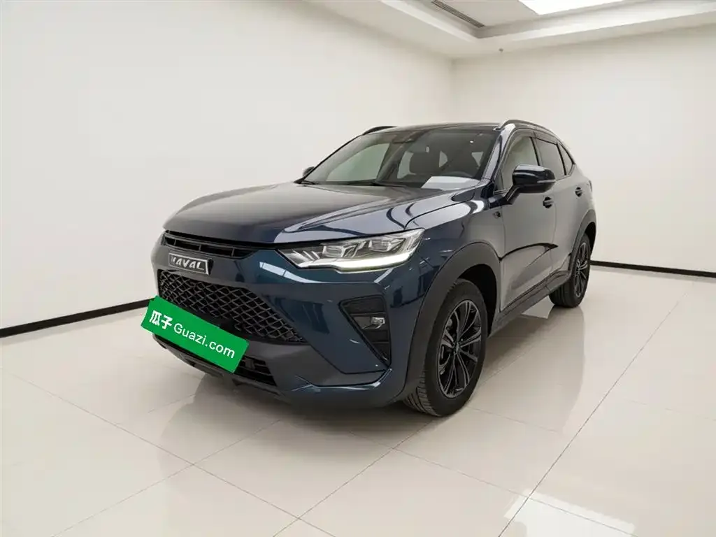 Haval H6S — фото 1