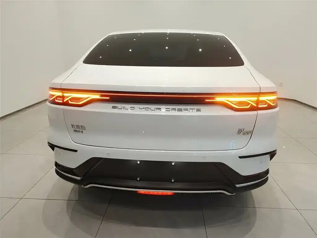 BYD Han — фото 6