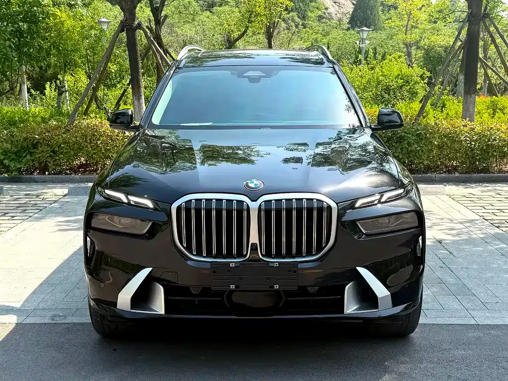 BMW X7 — фото 4