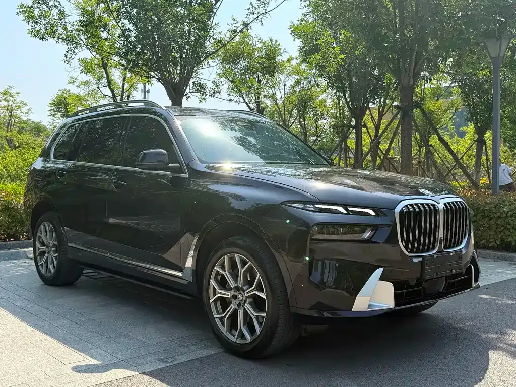 BMW X7 — фото 8