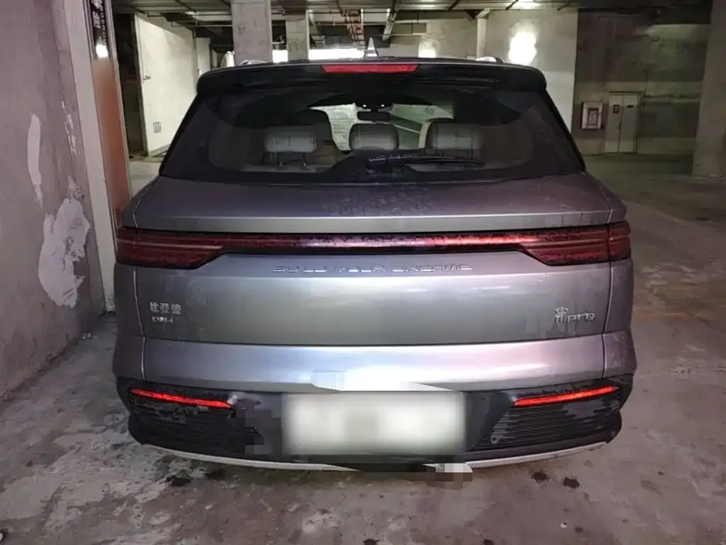 BYD Pro New Energy — фото 5