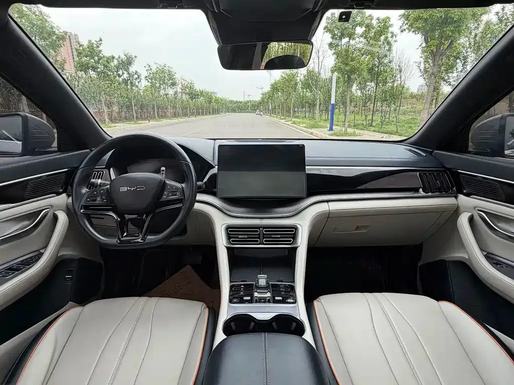 BYD PLUS New Energy — фото 4