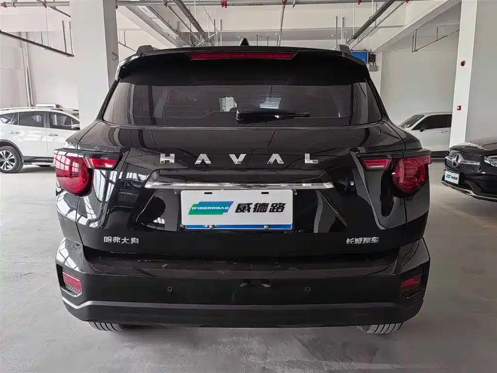 Haval H7 (Big Dog Plus) — фото 5
