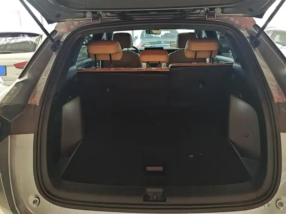 BYD L DM-i — фото 4