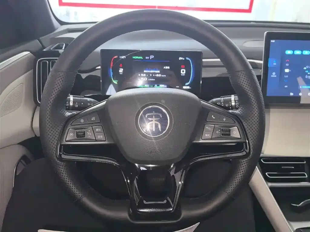 BYD Pro New Energy — фото 4