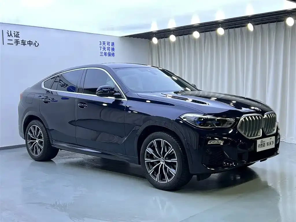 BMW X6 — фото 10