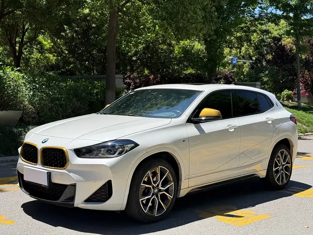 BMW X2 — фото 1