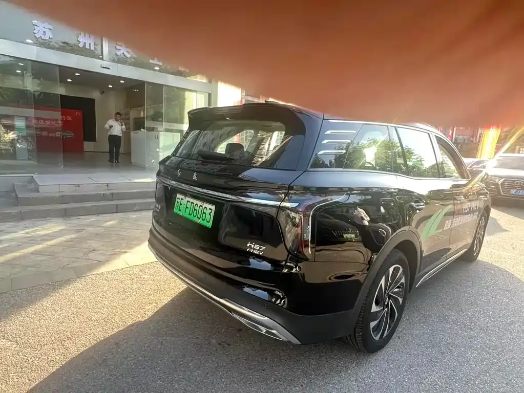 Hongqi HS7 PHEV — фото 6